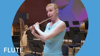 Minnesota Orchestra Flute Demonstration [upl. by Onahpets]