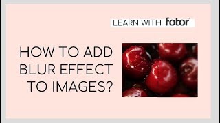 How to Blur Photo Background like A Pro  Fotor Tutorial [upl. by Norma]