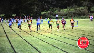 Kayla Bonnick of St Jago winner C4 girls 100m CentralChamps2014 [upl. by Sneve]