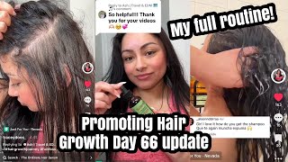 HAIR GROWTH JOURNEY DAY 66 USING MIELLE ROSEMARY MINT SCALP OIL hairgrowth hairgrowthjourney [upl. by Asilat]