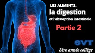 Chapitre 1 Les aliments la digestion et labsorption intestinale partie 2 La digestion svt 3ème [upl. by Temirf]