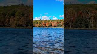 😍Kaaterskill North lake picnic area🏖️  Newyork  shorts lakeview beautyofnature america [upl. by Tor]