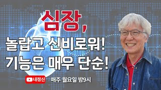 제209회 월요일 live  심장 놀랍고 신비 기능은 단순  김찬주목사 [upl. by Naraa]