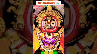 Mo Deharu Jibana Fedi Jaga ⭕‼️⭕🙏🌺🤲yt youtubeshorts shortsodia bhajanjay [upl. by Aerdnak]