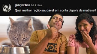 Melhor RAÇÃO para GATOS BOA e BARATA [upl. by Gagliano]