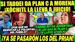 MARTES AMLO ¡EN MÉXICO SI INE Y TRIBUNAL ELECTORAL DAN PLAN C A MORENA ¡XÓCHITL LES HARÍA JUICIO [upl. by Eeralav703]