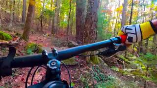 Fall 2023 Gardner State Forest  Orbea Occam H30 [upl. by Proudman648]