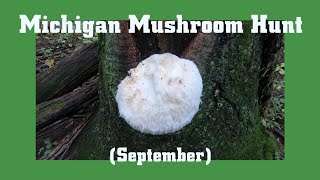 Michigan Mushroom Hunt in September [upl. by Valerye752]