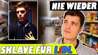 Aushilfe bei LIDL So hart knallt die Peitsche im Supermarkt  Erfahrungsbericht [upl. by Hoxsie]