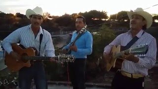 Hermanos Morales De San Jose Chaparrita Consentida 2016 [upl. by Rossie]