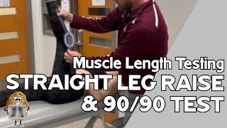 MLT Hamstrings Straight Leg Raise AND 9090 Test [upl. by Fasano]