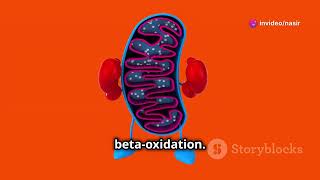 Lysosomes and peroxisomes lysosomes cellbiology youtube [upl. by Adniuqal]