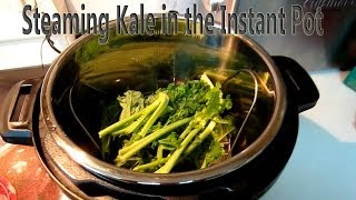 Steaming Kale in the Instant Pot [upl. by Yemiaj454]