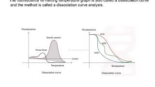 Real time PCR [upl. by Ralli]