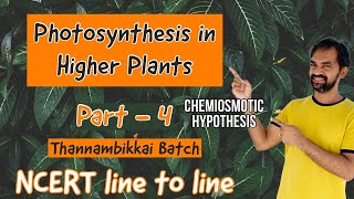 Photosynthesis in higher plants  Part 4  Chemiosmotic hypothesis  NCERT LINE TO LINE [upl. by Renat]