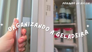 Como organizei a minha geladeira  Thalita Campedelli [upl. by Swamy]