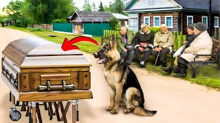 This Sad Dog Attended His Owner’s Funeral but What He Did Next Will Leave You in Tears [upl. by Vevina]