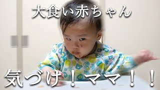 よく食べる赤ちゃんのお食事系vlog【鈍感ママに全力アプローチ】 [upl. by Leventis]