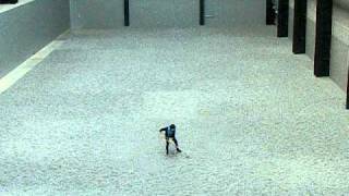 Sunflower Seeds  Ai Weiwei  Tate Modern [upl. by Idmann]