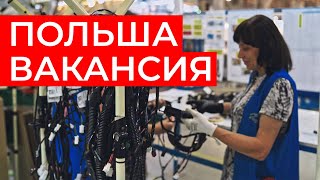 РАБОТА В ПОЛЬШЕ ДЛЯ ЖЕНЩИН Вакансия в Польше Официальное трудоустройство [upl. by Enetsuj]