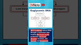 Euglycemic Diabetic Ketoacidosis EDKA [upl. by Aline]