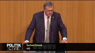 Gerhard Deimek  Erneuerbarer Wasserstoff nicht biogenen Ursprungs  1262024 [upl. by Drahsir]