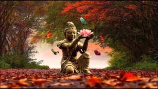 Om Namah Shivaya Chant sacré by Tissia enregistré en 432hertz [upl. by Thier478]