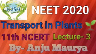 NCERT Revision Transport in Plants Lecture 3 NEET 2020 By Anju Maurya [upl. by Kenlee]