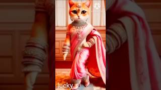 Funny 😺 cat videosshortsfunny [upl. by Yeltneb896]