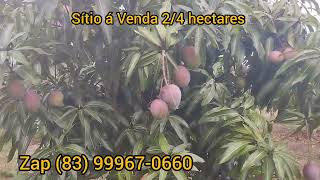 Sítio á Venda 24 hectares em Lagoa Seca Paraíba Brasil Valor 120 mil reais Zap 83 9 99670660 [upl. by Skylar587]