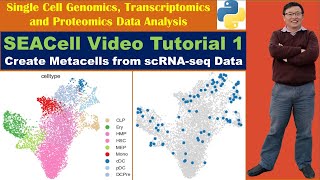 SEACell Video Tutorial 1 Create Metacells from scRNAseq Data [upl. by Dwaine]