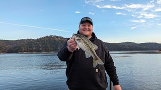 Table Rock Lake Video Fishing Report October 23 2023 short [upl. by Eelrak]