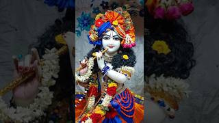 Vrindavan Mein Radhe Radhe  radha vrindavan krishna  love [upl. by Rogovy]