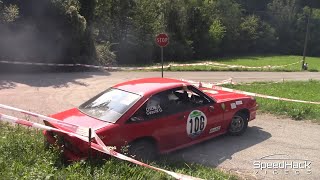 25 Rally Alpi Orientali Historic  Pure Sound amp Show [upl. by Melesa811]