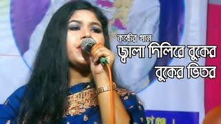 জ্বালা দিলিরে বুকের ভিতর জ্বালা পোড়ার ঘাও বানাইলিরে  তাজমনি সরকার  SV Baul Gaan [upl. by Ianaj]