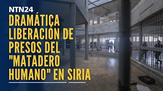 La dramática liberación de cientos de presos en la cárcel más temida de Siria [upl. by Ahsiyk]