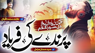 Urdu GhazalNazamparinday ki faryadaata hai yaad mujhko guzra hua zamanaAllama IqbalGojol [upl. by Aniahs]