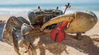 Crab Rave but its Classical music [upl. by Oiramaj]