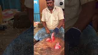 ROSE FISH 🐟 KASIMEDU MINNAL RAJA FISH CUTTING SKILLS fishcutting [upl. by Elicia793]