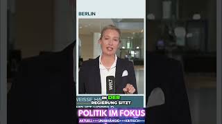 Warum wählt die Jugend AfD Alice Weidel AfD [upl. by Alejna]