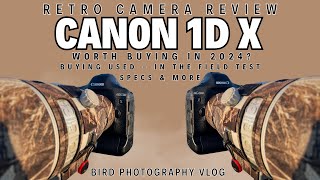 Canon 1D X  Retro Camera Review in the Field  Worth Buying in 2024 for Wildlife Photography [upl. by Neneek]