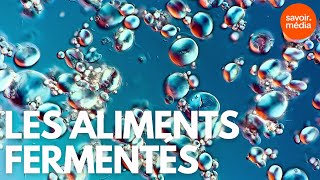 Les aliments fermentés  Créatures microscopiques [upl. by Yerrok]