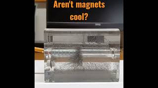 Magnetic Field Visualization physics magnet electromagnetictheory experiment pascoscientific [upl. by Griffith]