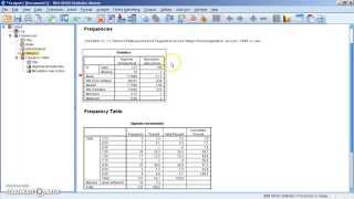 Betrouwbaarheidsinterval met SPSS [upl. by Reaht]