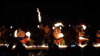 Honolulus Waimea Falls Turtle Beach amp Chiefs Luau🔥 [upl. by Enelak]