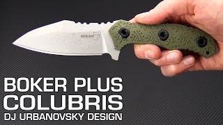 Boker Plus Colubris DJ Urbanovsky Design Fixed Blade Overview [upl. by Oremoh20]