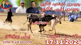 mala dina winer dand 17112024 champion dand sharkashmir time 424 owner ch kashnood ch Raees [upl. by Sleinad411]