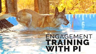 Michael Ellis Engagement Training With His Dog Pi [upl. by Ailes]