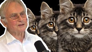 Richard Dawkins Memes  AI Podcast Clips [upl. by Nolak]