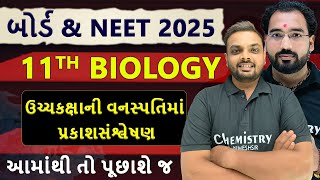 PHOTOSYNTHESIS In Higher Plants STD 11 Biology Chapter 11 Most IMP NEET PyQ With Solution [upl. by Ttennaej]